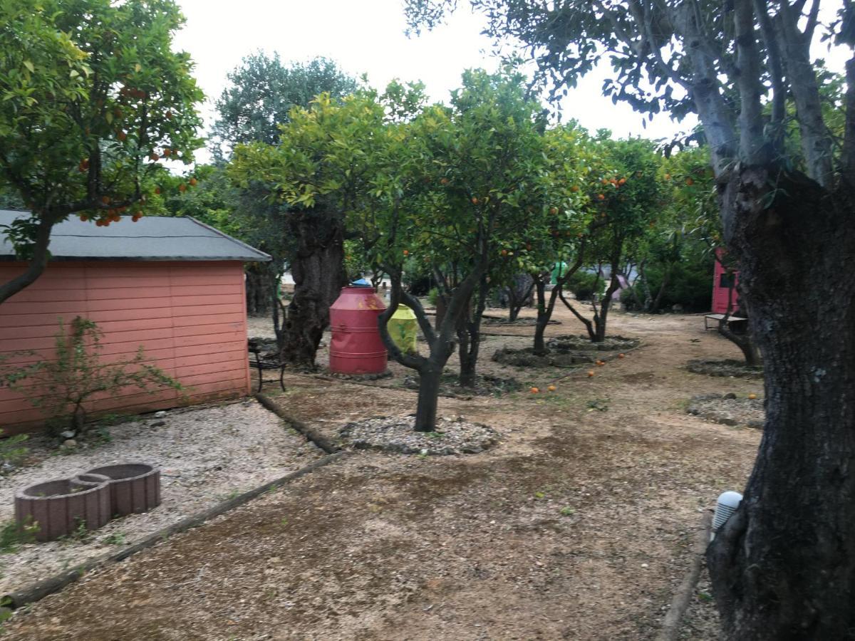 Quinta Do Lagar De Sao Jose ξενώνας Paialvo Εξωτερικό φωτογραφία
