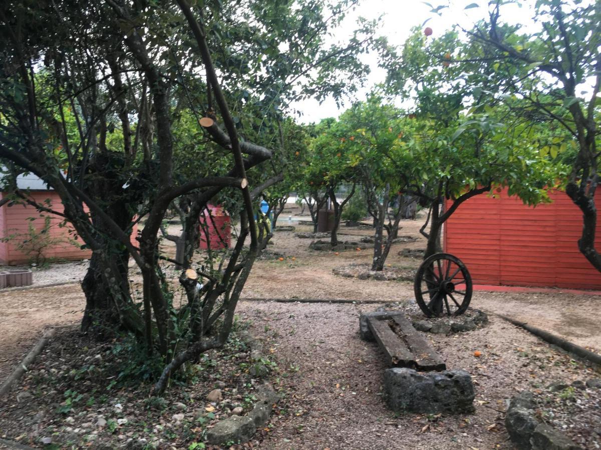 Quinta Do Lagar De Sao Jose ξενώνας Paialvo Εξωτερικό φωτογραφία