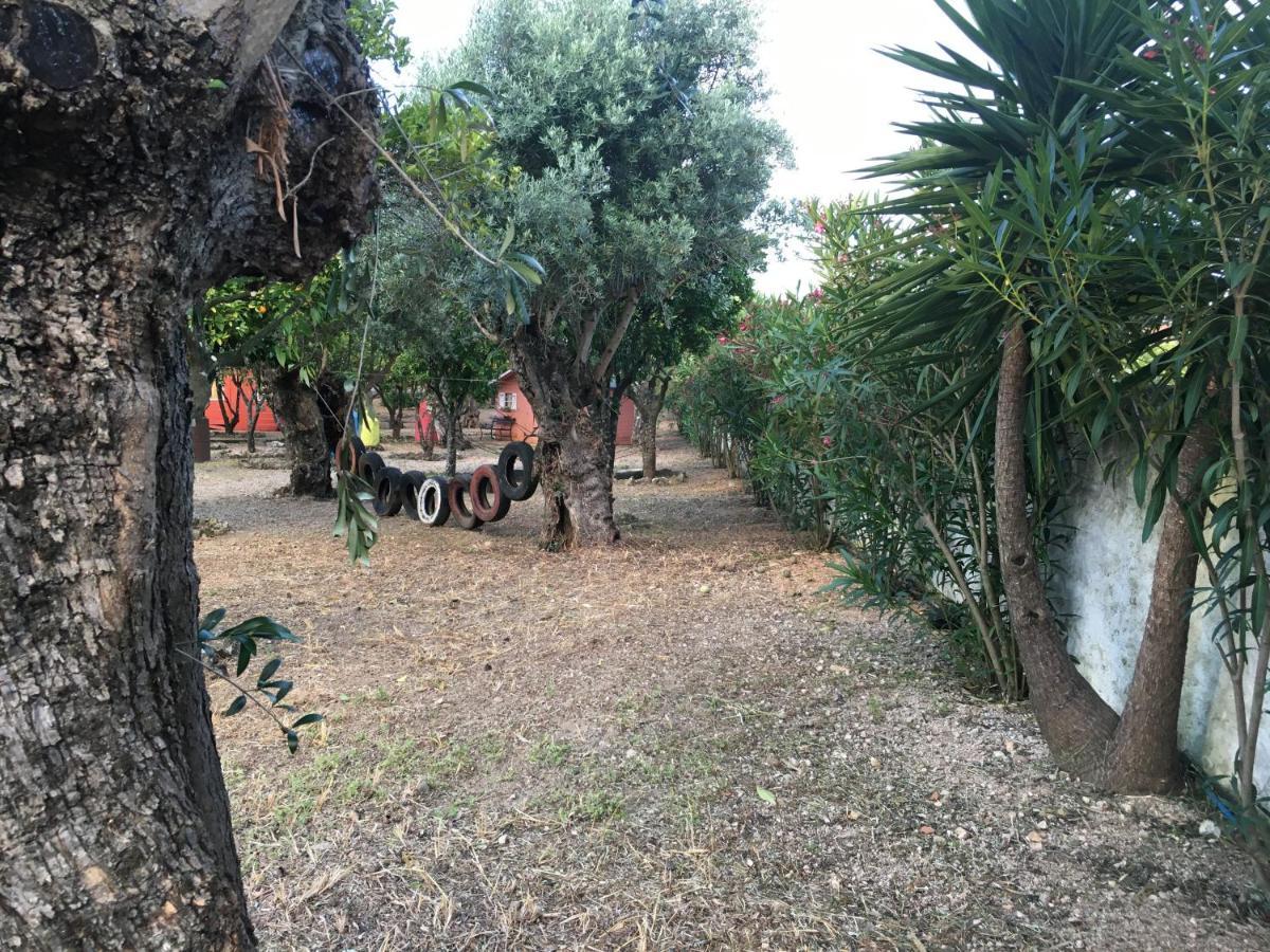 Quinta Do Lagar De Sao Jose ξενώνας Paialvo Εξωτερικό φωτογραφία