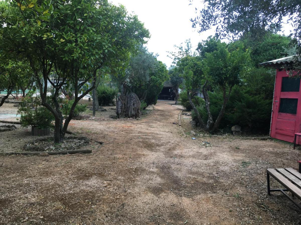 Quinta Do Lagar De Sao Jose ξενώνας Paialvo Εξωτερικό φωτογραφία